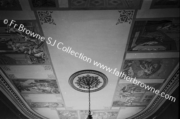 COSBY HALL  CEILING OF LIBRARY